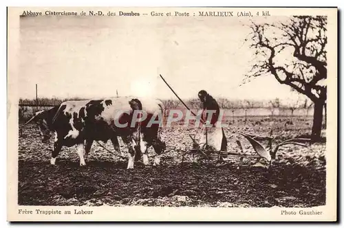 Ansichtskarte AK Folklore Abbaye cistercienne de ND des Dombes Gare et Poste Marlieux Frere trappiste au labour