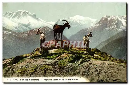 Cartes postales Chevre Sur les sommets Aiguille verte et le Mont Blanc