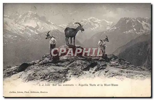 Cartes postales Chevre Sur les sommets Aiguille verte et le Mont Blanc