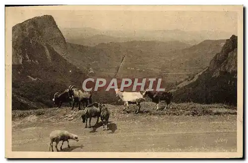 Ansichtskarte AK Chevre Environs du Mont Dore Vallee de la Sioule et les Roches Sanadoire et Tuiliere