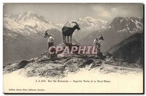 Cartes postales Chevre Sur les sommets Aiguille verte et le Mont Blanc