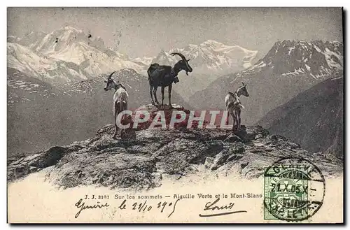 Cartes postales Chevre Sur les sommets Aiguille verte et le Mont Blanc