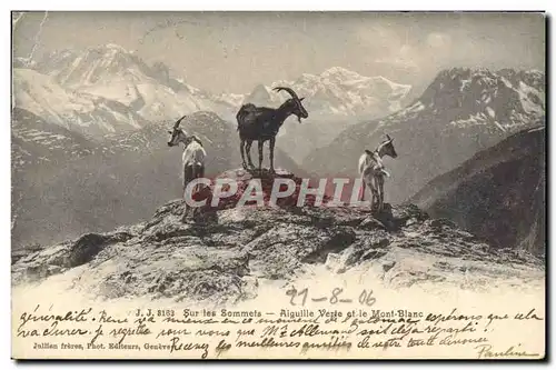 Ansichtskarte AK Chevre Sur les sommets Aiguille verte et le Mont Blanc