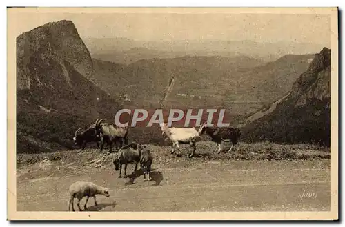 Ansichtskarte AK Chevre Auvergne Environs du Mont Dore Vallee de la Sioule et les roches Sasnadoire et Tuiliere