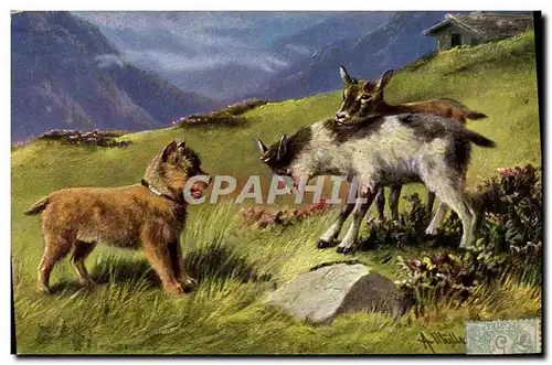 Ansichtskarte AK Chevre Chevreau Chien