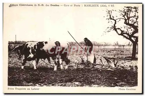 Ansichtskarte AK Abbaye cistercienne de Nd des Dombes Gare et poste Marlieux Frere trappiste au labour Boeufs