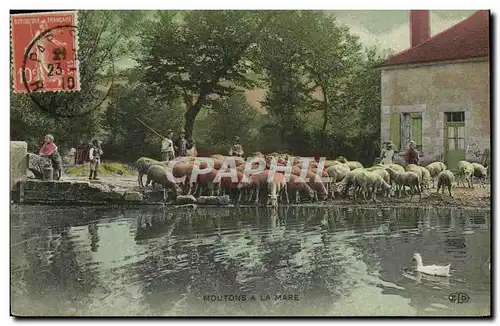 Ansichtskarte AK Folklore Moutons a la mare Enfants