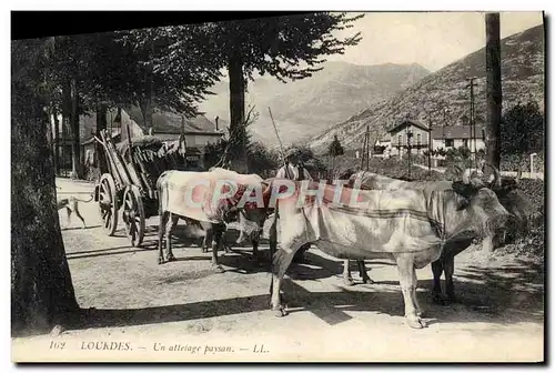 Cartes postales Lourdes Un attelage paysan Boeufs