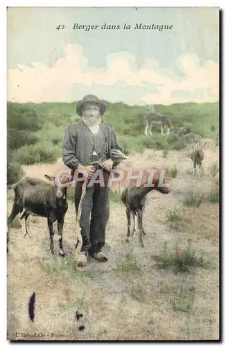 Ansichtskarte AK Chevre Berger dans la montagne