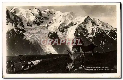 Cartes postales Chevre Chamonix Mont Blanc Planpraz et le Mont Blanc