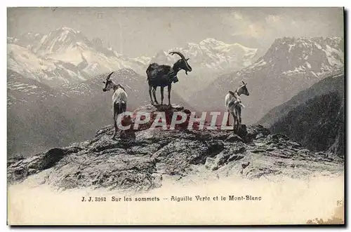 Cartes postales Chevre Sur les sommets Aiguille verte et le Mont Blanc