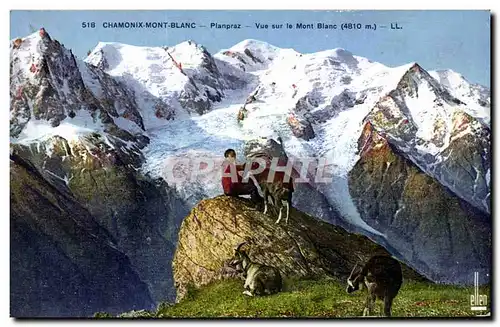 Ansichtskarte AK Chevre Chamonix Mont Blanc Planpraz Vue sur le Mont Blanc