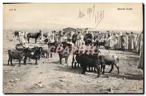 Cartes postales Chevre Marche arabe