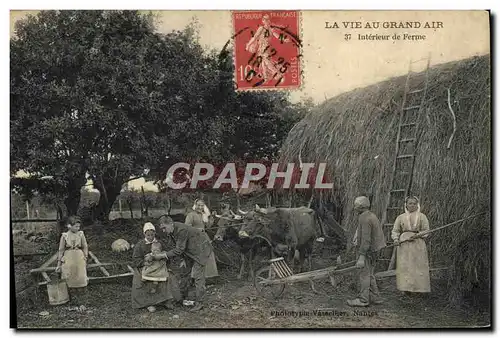 Cartes postales Folklore La vie au grand air Interieur de ferme Boeufs TOP
