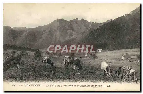 Ansichtskarte AK Le Mont Dore La vallee du Mont Dore et les aiguilles du diable Vahces