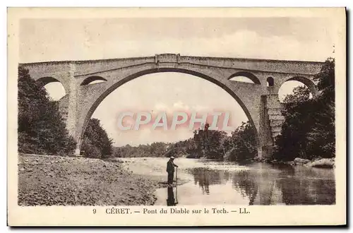 Cartes postales Ceret Pont du diable sur le Tech