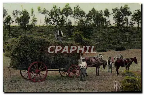 Cartes postales Folklore La rentree des bles Attelage Chevaux