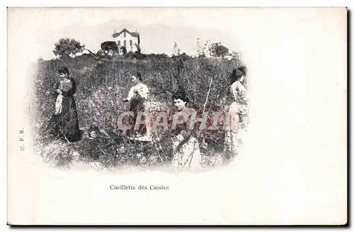 Ansichtskarte AK Folklore Cueillette des cerises