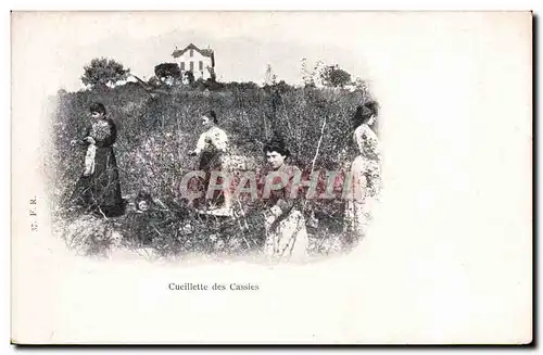 Cartes postales Folklore Cueillette des cerises