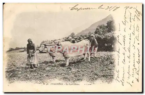 Ansichtskarte AK Folklore Pyrenees Le laboureur Boeufs