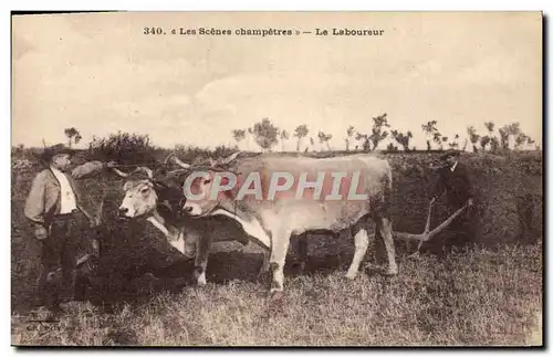 Ansichtskarte AK Folklore Le laboureur Boeuf