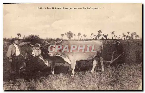 Cartes postales Folklore Le laboureur Boeuf