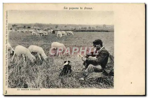 Cartes postales Folklore Le berger studieux Moutons Chien