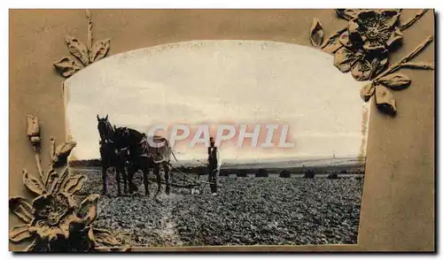 Cartes postales Folklore Labour Cheval