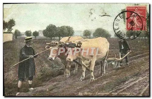 Ansichtskarte AK Folklore Vichy Labourage aux environs Boeufs