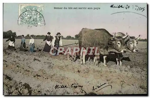 Cartes postales Folklore Semer du ble est servir son pays Boeufs Labour