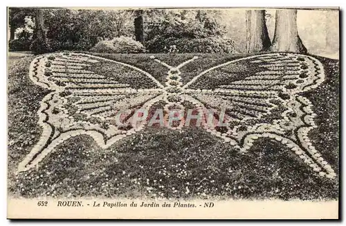 Ansichtskarte AK Papillon Rouen Le papillon du jardin des plantes