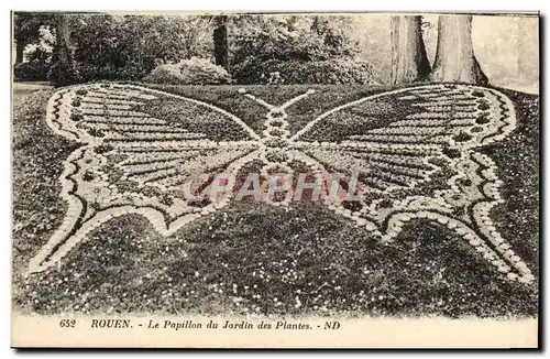 Cartes postales Papillon Rouen Le papillon du jardin des plantes