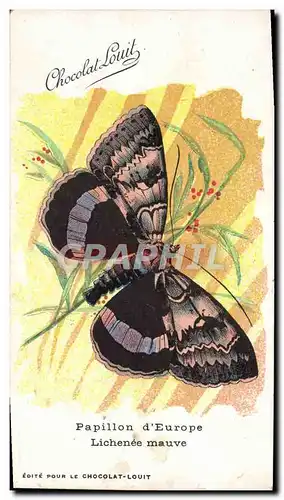 Cartes postales Papillon d&#39Europe Lichenee mauve Chocolat Louit