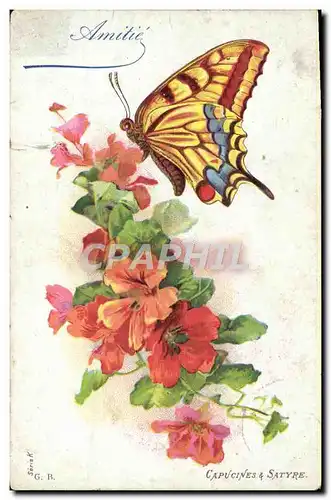 Cartes postales Papillon Capucines & Satyre