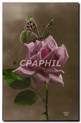 Cartes postales Papillon Fleur Rose