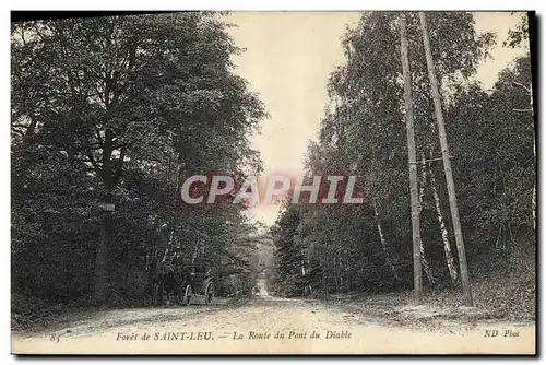 Cartes postales Foret de Saint Leu La route du pont du diable