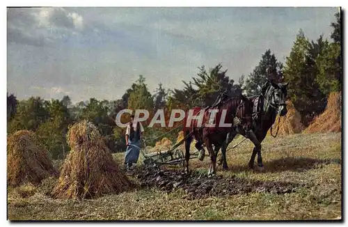 Ansichtskarte AK Folklore Labour Chevaux