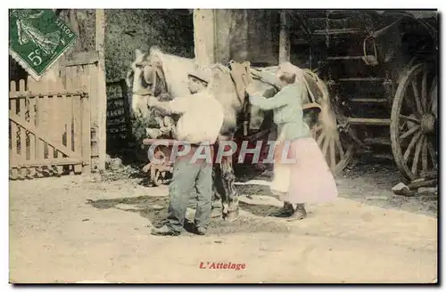 Ansichtskarte AK Folklore L&#39attelage Cheval