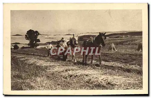 Cartes postales Folklore Labour Chevaux