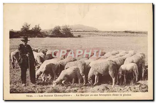 Ansichtskarte AK Folklore Le berger et son troupeau dans la plaine Moutons