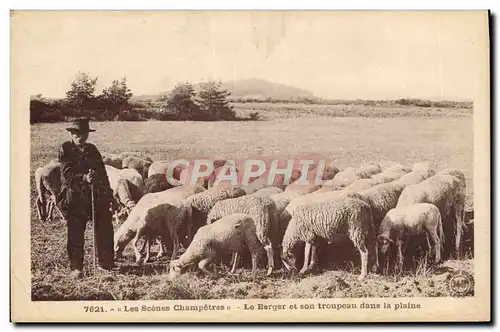 Cartes postales Folklore Le berger et son troupeau dans la plaine Moutons