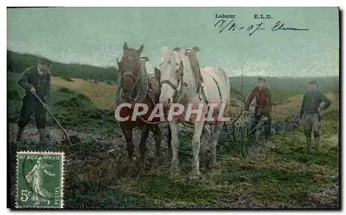 Cartes postales Folklore Labour Chevaux