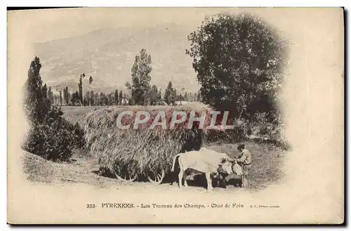 Cartes postales Folklore Pyrenees Les travaux des champs Char de foin