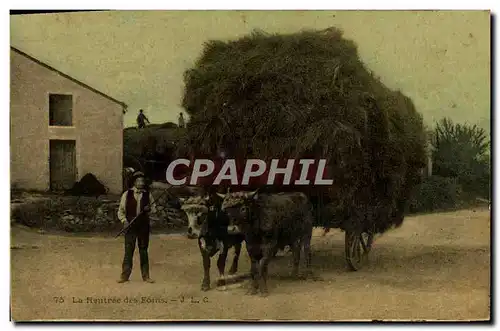 Ansichtskarte AK Folklore Attelage La rentree des foins