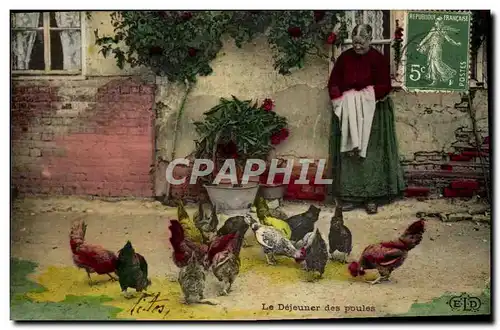 Cartes postales Folklore Femme Le dejeuner des poules