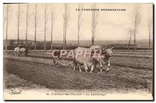 Cartes postales Folklore Travaux des champs Le labourage Boeufs Campagne bourbonnaise