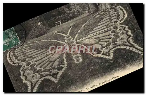 Cartes postales Fantaisie Papillon Rouen Le papillon du jardin des plantes