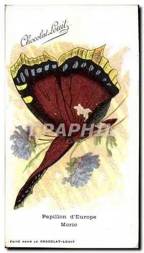 Cartes postales Fantaisie Papillon d&#39Europe Morio Chocolat louit