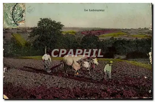 Cartes postales Folklore Le laboureur Attelage Boeufs
