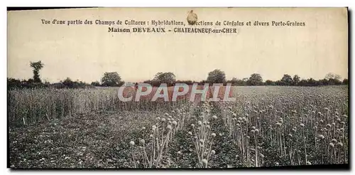 Cartes postales Folklore Vue d&#39une partie des champs de cultures Hydridations Selections de cereales Deveaux